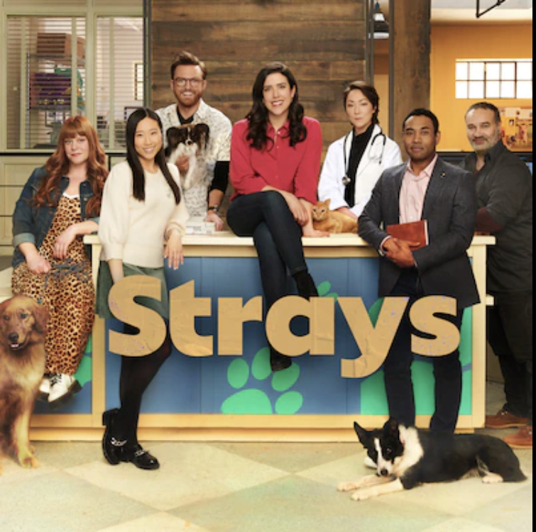 Strays (2021)